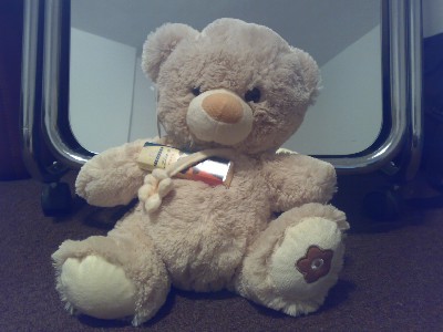 teddybear.jpg
