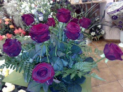 roses.jpg