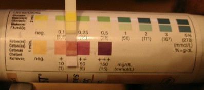 ketostrips.jpg