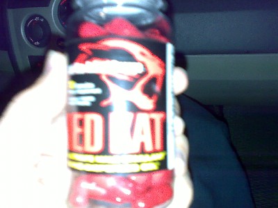 redkat.jpg