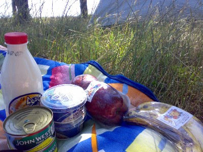 camping.jpg