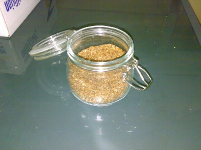 flax.jpg