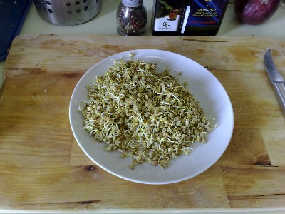 sprouts1.jpg