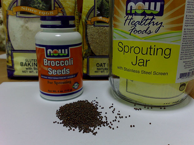 broccolisprouts