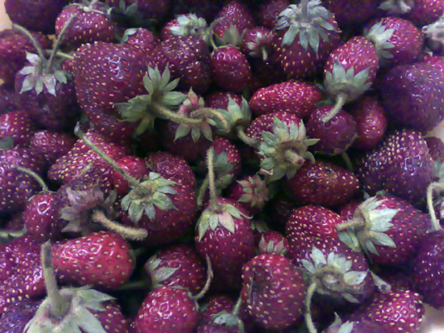 strawberries