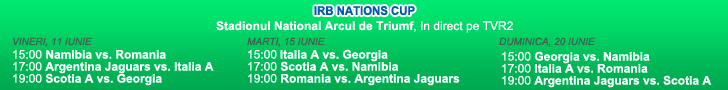 program-irb1