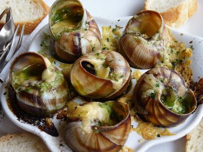 snails