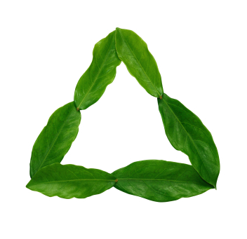 greentrinity