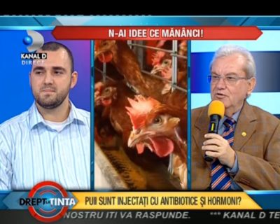 pozzza