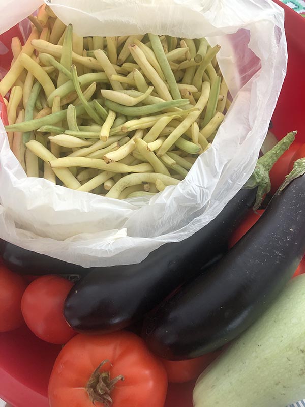 fasole păstăi